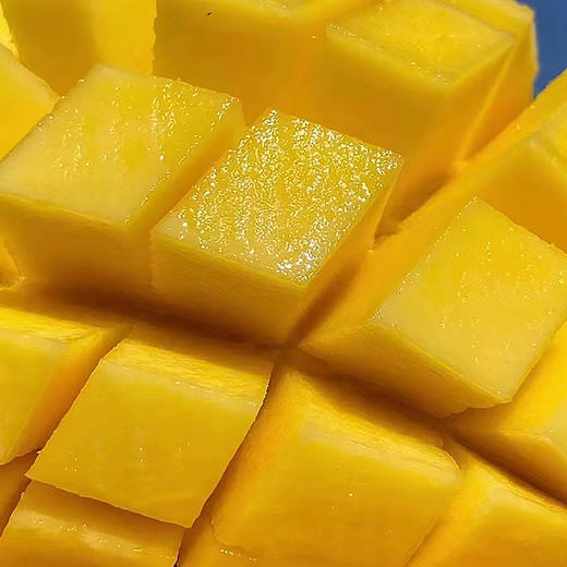 【自营】海南金煌芒果5斤/8斤中果  规格可选 商品图1