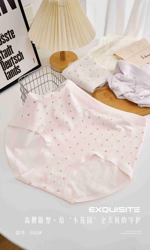 女士加肥加大内裤丰满裤加大版富姐裤宽松高弹超大版型三角裤0592 商品图1