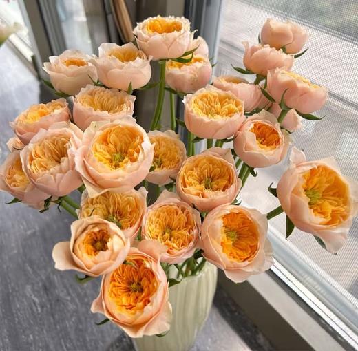 黄色多头玫瑰10枝 商品图4