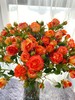 橙色多头玫瑰10枝 商品缩略图5
