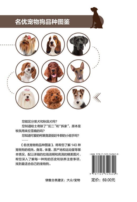 宠物大本营--名优宠物狗品种图鉴 商品图7