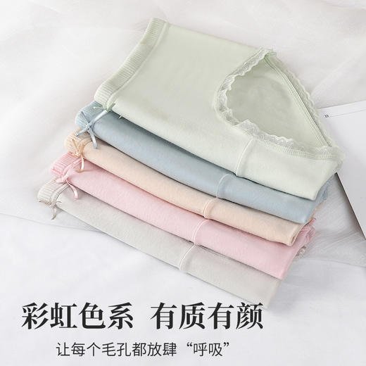【49元4条，请拍4条，单拍不发】高弹舒适彩虹色系纯棉女士内裤-M546 商品图1