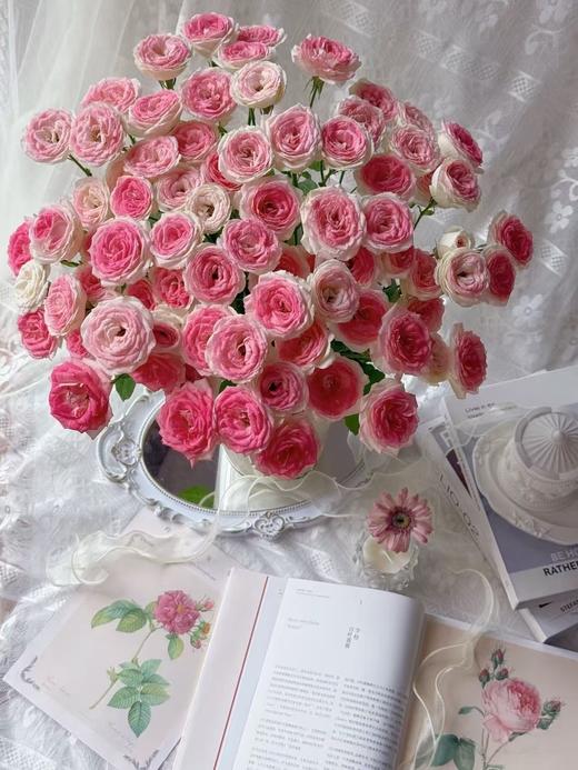 粉色多头玫瑰10枝 商品图3