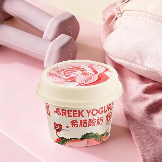 乐纯希腊酸奶椰子玫瑰口味90g 商品图1
