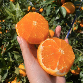 【自营】云南雪山小甜甜无核蜜沃5斤/9斤 规格可选  顺丰包邮