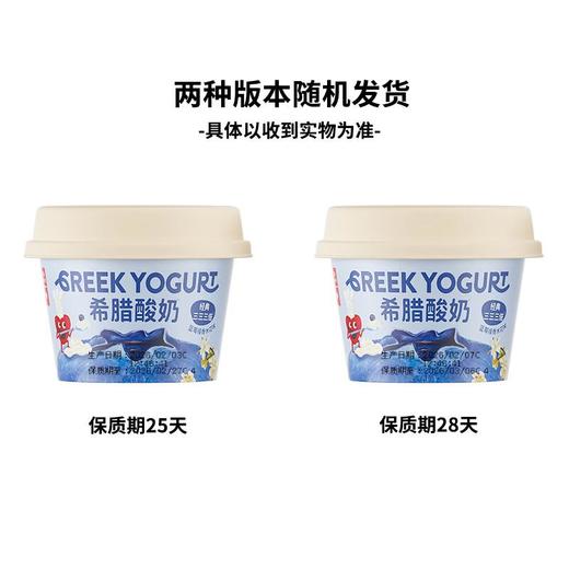 乐纯希腊酸奶蓝莓口味90g 商品图3