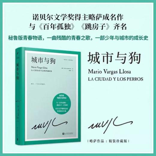 略萨作品20种任选 谈马尔克斯 酒吧长谈 城市与狗等 商品图3