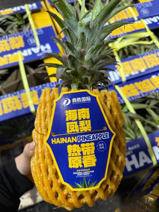 正宗海南豆奶凤梨  蜜甜多汁 家庭装2颗装 商品图2