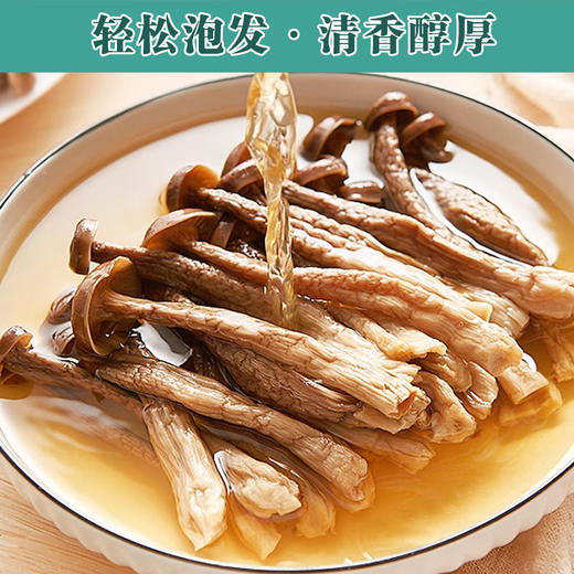 煲汤鹿茸菇干货 鹿茸菌特产火锅脆脆脆菇家用炒菜羊肚菌支持代发 商品图2
