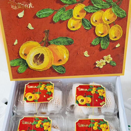 【居家必备树上熟枇杷】川宝鲜枇杷，家中常备，全家人都需要的水果 商品图7