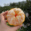 【自营】四川不知火丑橘2.5斤/4.8斤/8斤  多规格可选 商品缩略图1