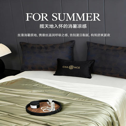 【源头高货福利】多娜天然蚕丝夏凉被 | 20%桑蚕丝填充、亲肤舒适、透气性好、简约大气 商品图1