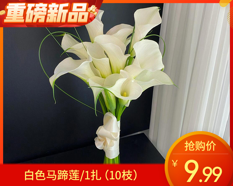 【预售-4月8日配送】白色马蹄莲/1扎（10枝）