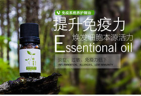  4号纯精油：绿野森林