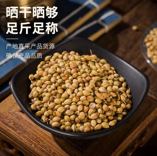 【YC】香菜籽 商品图1