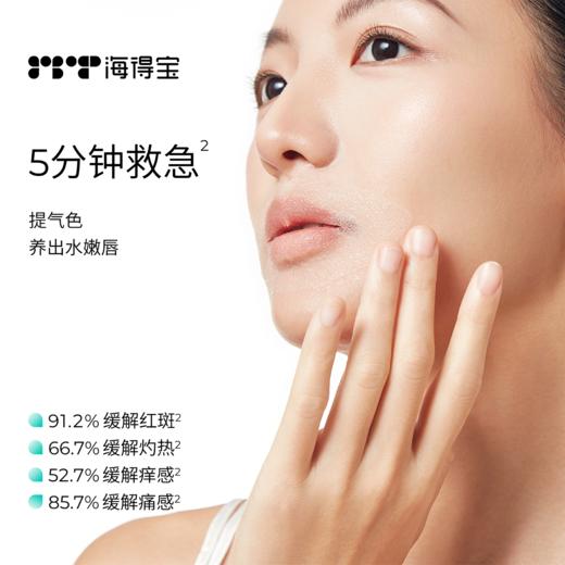 【海得宝专场】海得宝唇敏灰绷带 商品图2