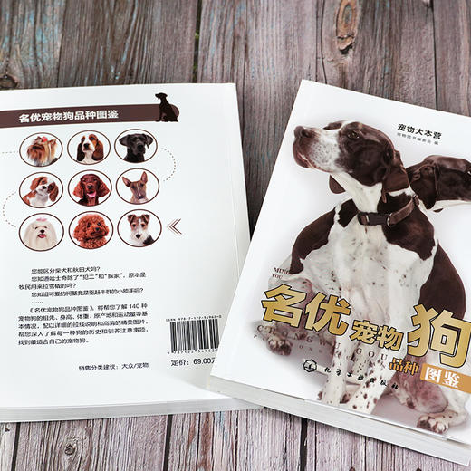 宠物大本营--名优宠物狗品种图鉴 商品图3