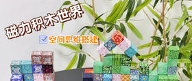 抱着不撒手的磁力积木
