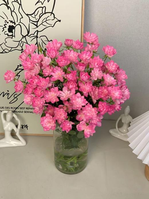 粉色多头玫瑰10枝 商品图5