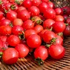 有机小番茄 商品缩略图0