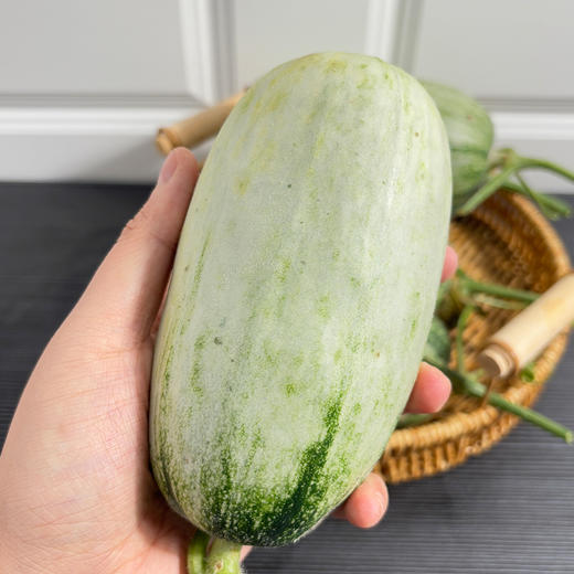 【自营】山东博洋72号蜜瓜3斤/4.5斤 顺丰包邮 商品图5
