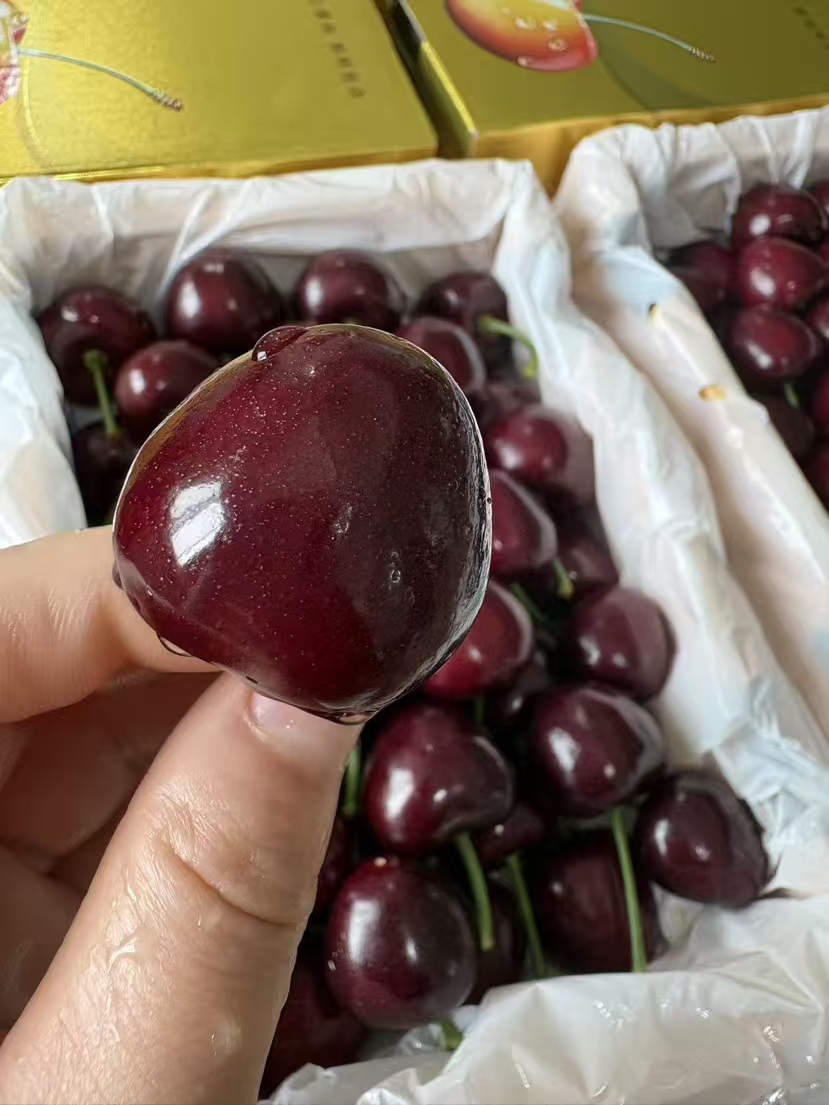 8J！巨无霸樱桃，这么大还品相完美不裂口，浓郁鲜甜卜卜脆，极品！