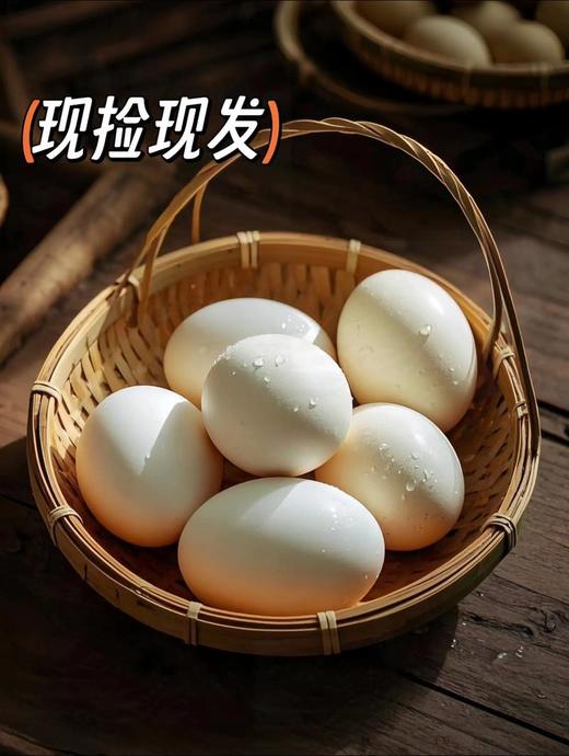 农场散养土鹅蛋 撒欢谷直供 新鲜现捡 商品图1