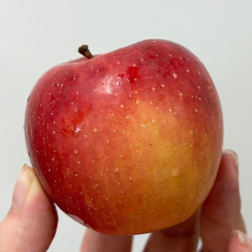 【自营】新疆樱桃苹果4斤 顺丰包邮 商品图1