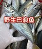 野生巴浪鱼~海底行走的氨基酸，干煎红烧清蒸，好吃又实惠【新鲜活冻】 商品缩略图0