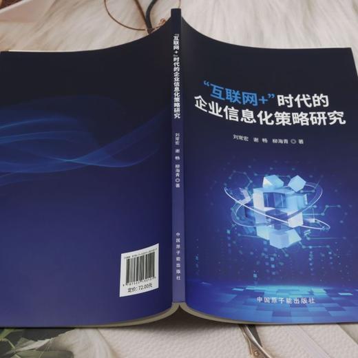 互联网 时代的企业信息化策略研究 商品图3