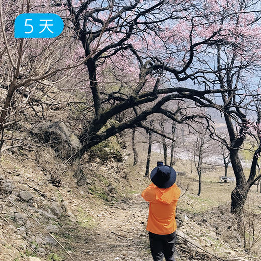 经典南太行｜55公里精华徒步 国内十大经典徒步路线之一 5日 商品图1