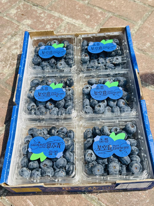 花香脆星空蓝莓  22+大蓝莓 商品图5