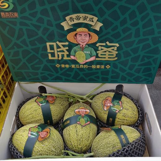 晓蜜青帝蜜瓜（750g） 商品图1