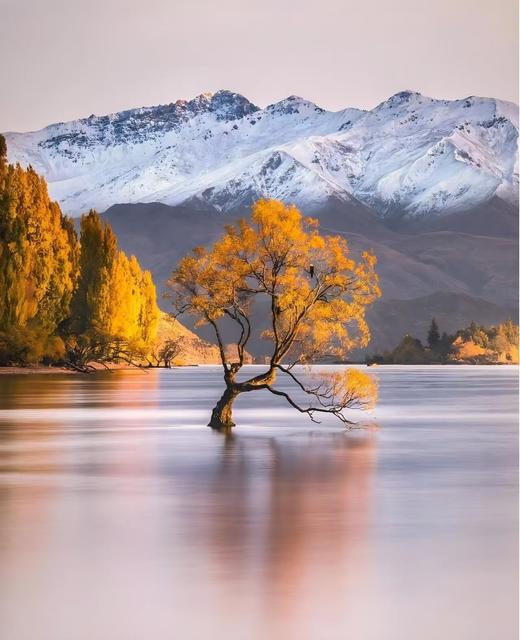 新西兰南岛深度环岛秋色+星空小镇13天摄影团 商品图0