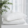 10楼 富安娜 赛娜超细纤维枕2只装,  白 70cm*45cm 吊牌价 599元  活动价99元一对 商品缩略图1