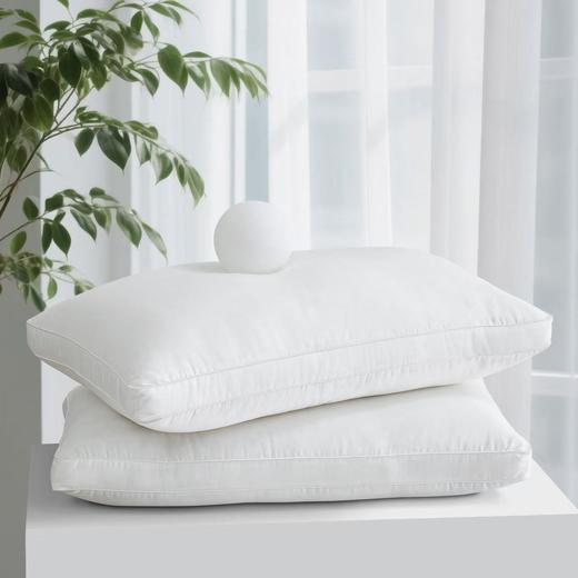 10楼 富安娜 赛娜超细纤维枕2只装,  白 70cm*45cm 吊牌价 599元  活动价99元一对 商品图1