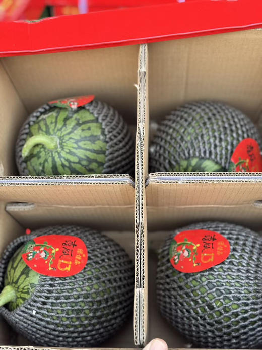 牛奶小西瓜🍉  嘻瓜13，一藤一瓜
瓜香味浓浓浓！脆甜！酥脆果肉！果皮超薄！最新到货🚚 商品图3