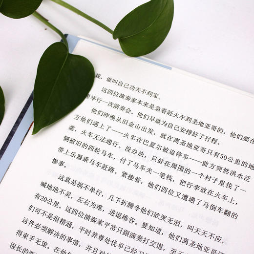 机器岛 商品图3