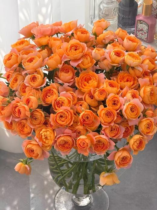 橙色多头玫瑰10枝 商品图1