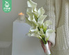 【预售-4月8日配送】白色马蹄莲/1扎（10枝） 商品缩略图4