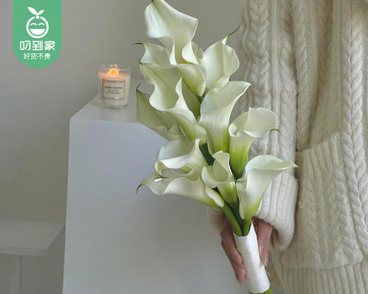 【预售-4月8日配送】白色马蹄莲/1扎（10枝） 商品图4