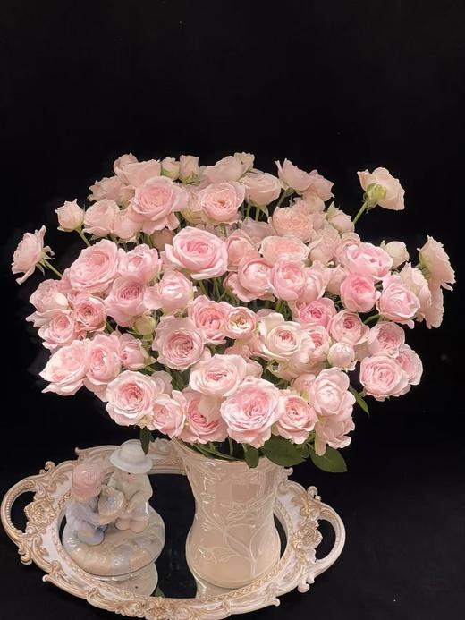 粉色多头玫瑰10枝 商品图1