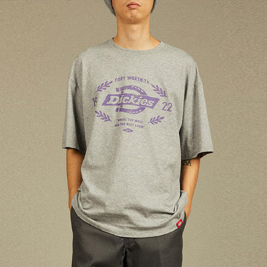 Dickies短袖T恤男 纯棉大LOGO经典情侣款 宽松易搭配DK012598 商品图6