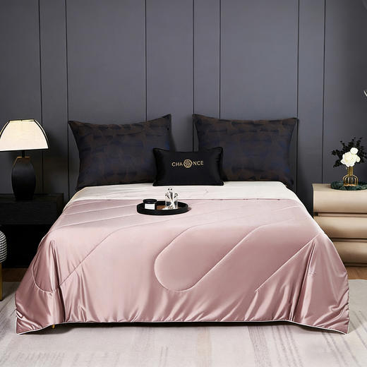 【源头高货福利】多娜天然蚕丝夏凉被 | 20%桑蚕丝填充、亲肤舒适、透气性好、简约大气 商品图4