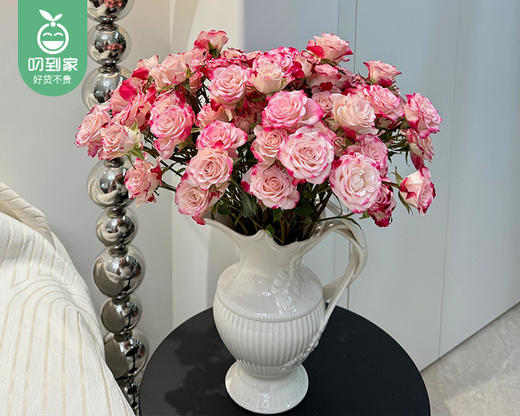 【预售-4月8日配送】「折射甜心」多头玫瑰花束/1扎（10枝，每枝2-3个花头） 商品图1