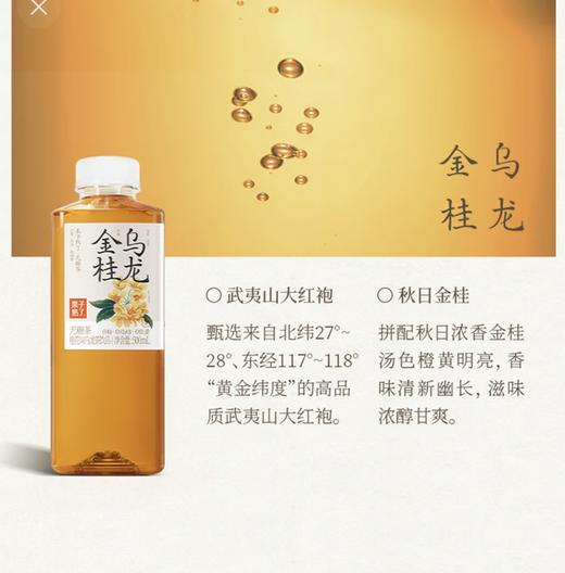 果子熟了.无糖茶 商品图3