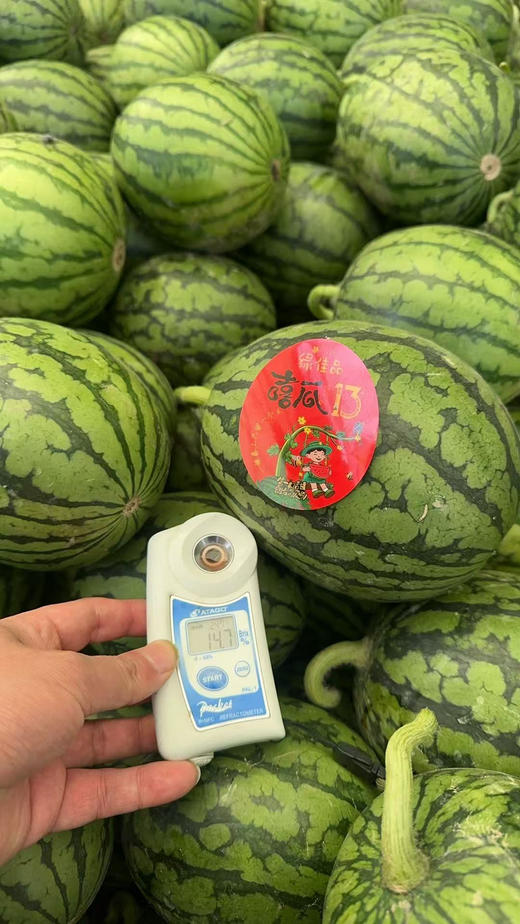 牛奶小西瓜🍉  嘻瓜13，一藤一瓜
瓜香味浓浓浓！脆甜！酥脆果肉！果皮超薄！最新到货🚚 商品图2