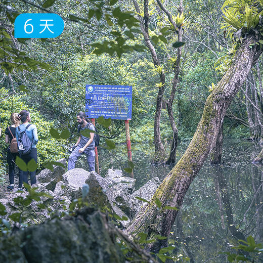 崇左✖️越南吉婆岛 跨境轻徒步｜剑龙山野径 明仕田园骑行 雨林穿越 24人精品小团 6日 商品图2