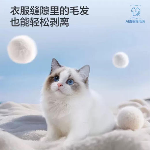 海尔（Haier）洗衣机 XQG100-BLEU75TU1 商品图7