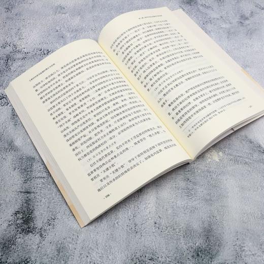 新时代政治监督的理论与实践 商品图4